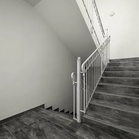 Forest * Druskieniki