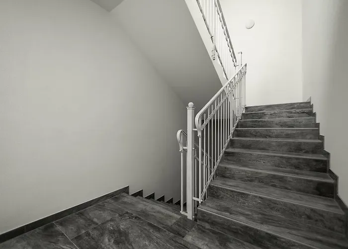 Forest * Druskininkai